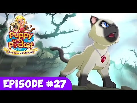 Puppy In My Pocket "Adventures In Pocketville" - Ep 27 "Kate's Birthday (Pt 1)