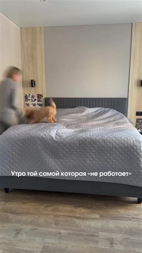 Вб: #528066378 #уборка#средствадляуборки#дом#уют