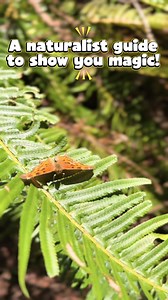 1.2K reactions · 92 shares | Experience an entirely new side of the...