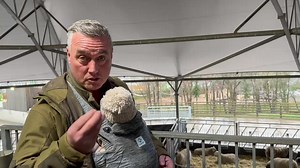 Farmer Dave is here with his grandson, trainee shepherd Arthur, sharing his top tips on what to look out for when a sheep starts lambing. These are the things you want to watch for when you visit us this February half term for our lambing festival. | Cannon Hall Farm