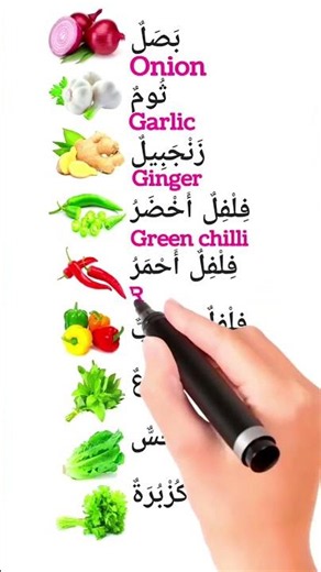 learn Arabic for beginners | Arabic learning for beginners | learn Arabic