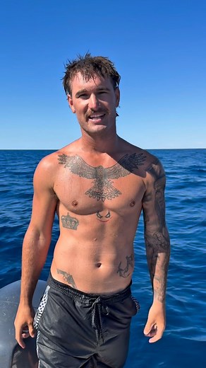 What on earth is going on here? Is this to loosen old skin? 🐍 These sea snakes are so cool to watch! . . . . . . #seasnake #snakes #animalencounters #wildlife #sealife #marinelife | Elusive Catch