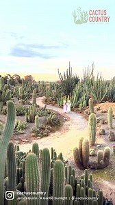 4.4K views · 250 reactions | Hey Victoria! Welcome to Cactus Country - Australia’s largest cactus garden with a colourful Mexican vibe and some huge mature cacti that spread as far as the eye can see. Perfect location for: - Photography - Weddings/Elopements - Workshops - Events like Day of the Dead (Nov 5th) - Romantic day out - Hen’s and Bucks parties - and so much more! See you soon  | Cactus Country | Facebook