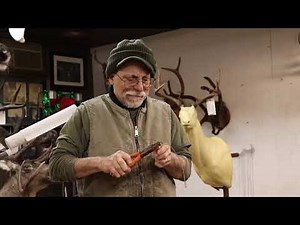 Testa's Tuesday Tips: Making a Bearded Dragon Mannikin