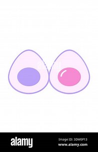 bobbing motion animation of avocado cartoon design Stock Video Footage - Alamy