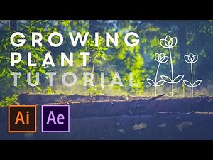 Growing Plant Animation & Illustration - After Effects Tutorial