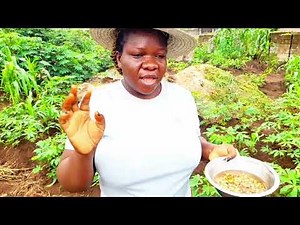 How To Grow Tiger Nuts Where Ever You Live/Growing Your Own Tiger Nuts.