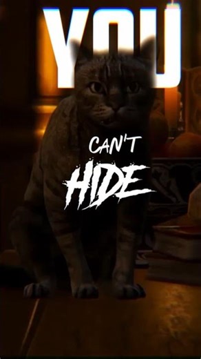 Did You Know This Witcher 3 Cat Has Secret Powers