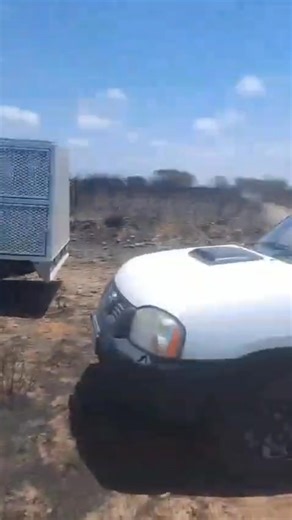 Mossel Bay Fire Update – Wildlife Support Our teams are back out in the field today, continuing to work in fire-affected areas. Along with patrols, they are placing containers of water for wildlife who have survived the fires and are struggling with heat, smoke, and dehydration. We are especially concerned for smaller animals and wildlife that may not have been able to move far from the burned areas. We encourage Mossel Bay residents to please do the same: Put out shallow bowls or containers of