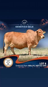 6.7K views · 106 reactions | Best of Boran Genetic “Timed” Online...