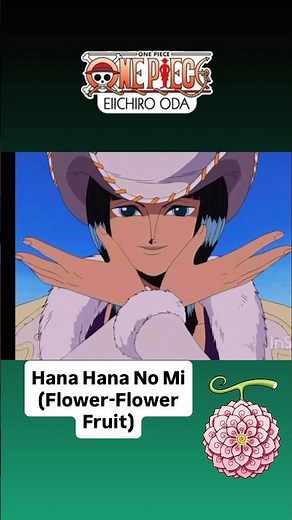 This Devil Fruit Makes Nico Robin OP in Silence 🌸 #onepiece #devilfruit #strawhats