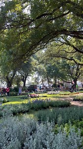 The FWBG Fall Plant Sale is back this week! 🌿 Shop unique Texas natives, colorful blooms, and pollinator favorites at our sale sponsored by SavATree 🐝🦋 Members enjoy first pick at the presale plus 10% off every day! Member Presale: Thurs, Oct 2 | 2–6 PM Public Sale: Fri, Oct 3 | 2–6 PM & Sat, Oct 4 | 9 AM–2 PM Enjoy a Garden stroll during our beautiful weather and bring home this year’s garden favorites 🌸 Seem more details & check out our favorite plants here: https://fwbg.org/events/2025-fa