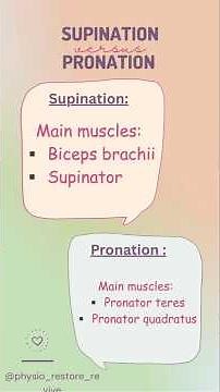 Supination and Pronation Made Easy | BPT Anatomy Quick Revision#fyp #anatomy #trending