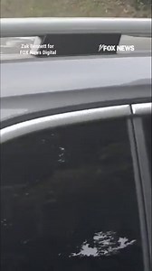 5.1M views · 56K reactions | EXCLUSIVE: Cracker Barrel CEO Julie Felss Masino dodged FOX News Digital’s questions after the chain backtracked on its controversial rebrand. | Fox News | Facebook