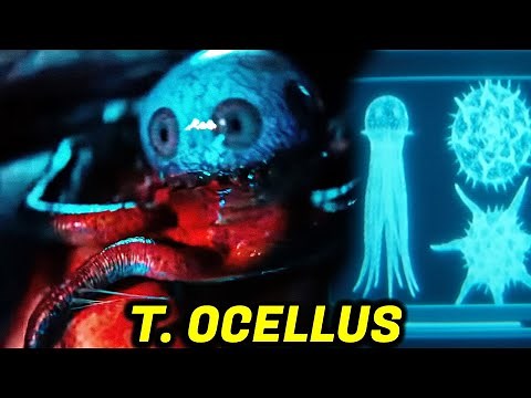 Species 64 T. Ocellus - Alien Earth Explained