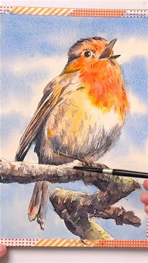 Cute Watercolor Robin #watercolourbeginners