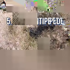 7 Secrets About Amazon forest You Don't know | Facts that will blow your mind