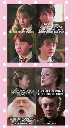 Hilarious Harry Potter Umbridge Meme: Harry NO vs Harry YES Must Not Tell Lies!#harrypotter#yt