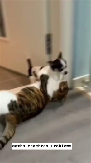 #studywithmeandmycat #mathematics #cat #numbertheory