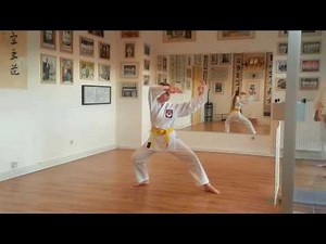 Ryan Hayashi - Karate Video Lesson #54 KARATE GIRL Heian Yondan, Godan, Tekki Shodan