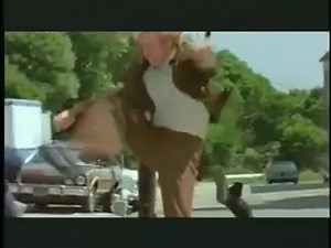 27 reactions · 11 shares | Biography TV show about Chuck Norris with Sheree J.WILSON Check it out!!! | Sheree J Wilson | Facebook