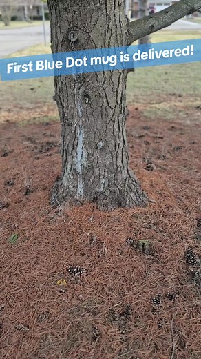 Muncie Mug Man on TikTok