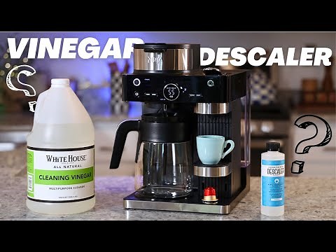 Clean & Descale Your Ninja Espresso & Coffee Barista Machine | Full Guide | Better Tasting Coffee