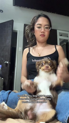 You’re next Layla, Gaeul, Maeum and Bisco!! cute dogs for @enhypen !! #enhypen #engene #sunghoon #kpop #fyp