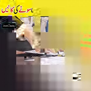 2.5M views · 24K reactions | 5 Biggest Gold Mines in the World #GoldMine #GoldCountry #gold | Open Wonder | Facebook