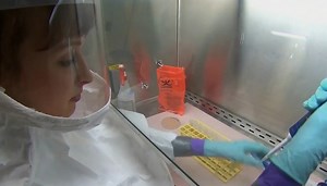 Ontario COVID-19 Update - CHCH