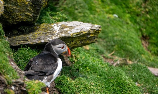 Colour Your Way Through Ireland: Discover All 32 Counties!