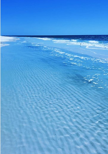 Exploring Navarre Beach, FL: Fishing & Emerald Coast Tours