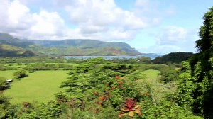 ManyVids PixiePixelized Paradise Pleasure premium porn video