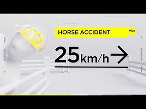 EQUITHEME Wings Helmet: How does the MIPS system work in equestrian helmets?