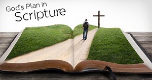 God's Plan in The Pentateuch | Faith Ministries Resources