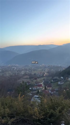 Understanding Depression: Insights and Reflections