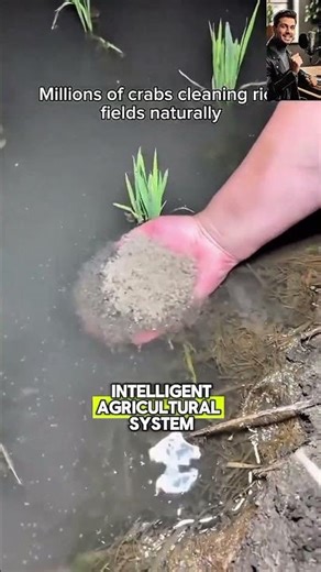 The World's Most Advanced Smart Farming!