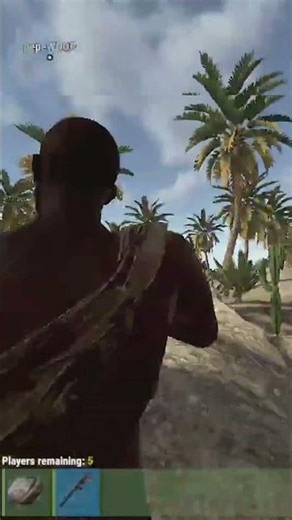 Rock and A Dream | Rust #rust #gaming #shorts