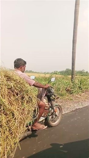 Nijama pattanam village #nature #love pure air , vari pata ,🫰🥰🤗