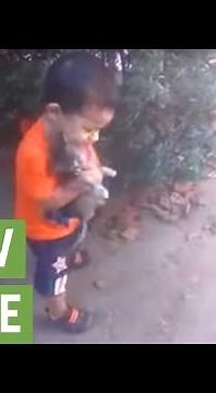 Baby boy can't stop hugging his kitten