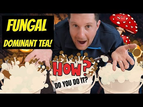 Make fungal dominant compost tea like this