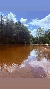 12K views · 110 reactions | River is back to being a perfect level, ￼water is pristine, with sand bars around every twist and turn! The forecast is beautiful all weekend almost back in the 90s so we hope to see you all back out here this weekend and let’s all make the most of summer 2025!!!!!☀️️☀️ We are open seven days a week at 9 AM | Styx River tube and canoe rental | Facebook