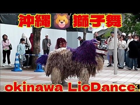 Okinawa 🦁 Lion Dance / Ryukyu Festival Taiko 🌺Okinawa 🦁 Lion Dance [4k]