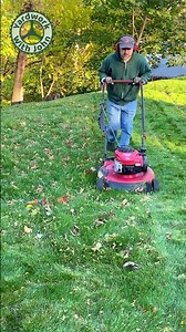 Mulching up Leaves in my Back Yard