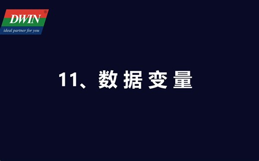 11.数据变量
