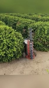 1.1K views | The Amazing World of Farming Innovations: How Technology Helps Farmers Irrigate Their Crops #farmer #farming #agriculture #farmer #machine #technique #technology #trend #trendingnow #irrigation | BEEF Agriculture | Facebook