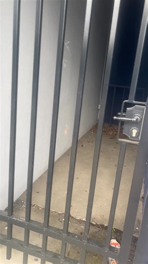 Just in time for spooky season, this guy decided to join us!! 🕷🕸 -Melanie | Mix 96.5