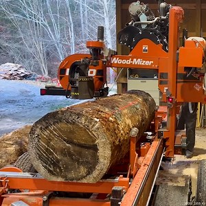 Making Lumber for a Building Project #sawmill #lumber #makinglumber #wood | Sheraton Park Farms