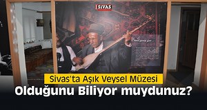 Aşık Veysel Müzesi