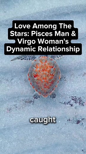Exploring the Cosmic Love Story of Pisces Man and Virgo Woman